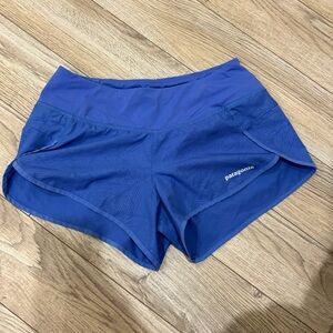 blue Patagonia shorts